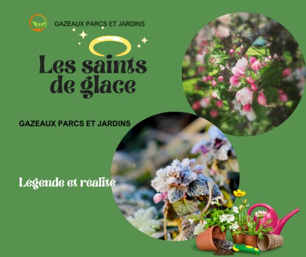 ❄️ Saints de Glace gardons l’œil ouvert