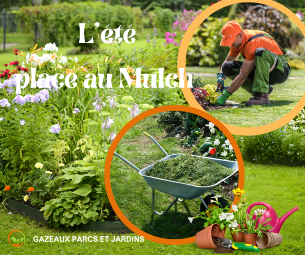 En été 🌱 le mulch rend service