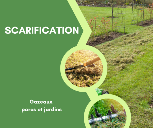 En mars place à la scarification